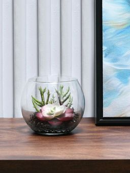 At Home by Nilkamal - Succulent Glass Potted Plant (Multi-Color)