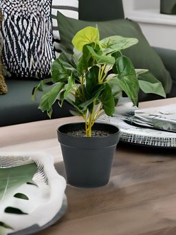 At Home by Nilkamal - Fan Leaf Potted Plant (Green)