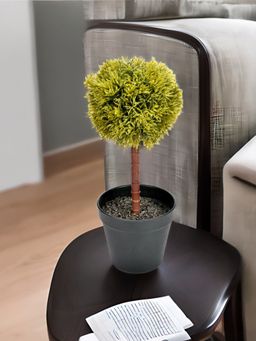 At Home by Nilkamal - Single Topiary Potted Plant (Green)