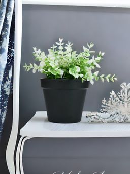 At Home by Nilkamal - Artificial Flora Potted Plant|12.5 x 20 cm|White & Green