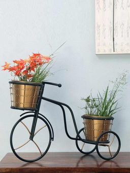 At Home by Nilkamal - Mini Cycle Planter (Black & Gold)