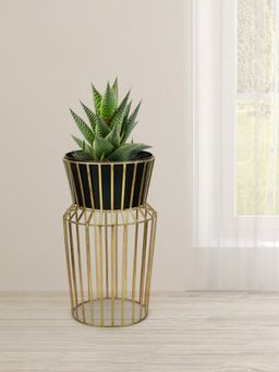 At Home by Nilkamal - Planter with Open Stand (Black & Gold)