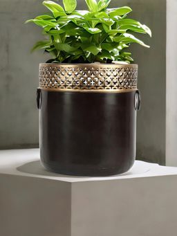 At Home by Nilkamal - Straight Jali Round Metal Planter (Black & Gold)
