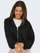 Black color option, Currently selected