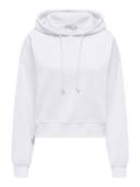 White color option, Sold out