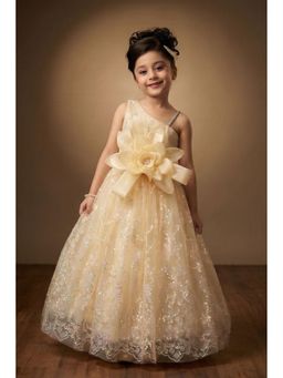 Lagorii - Fawn Floral Applique Party Wear Gown