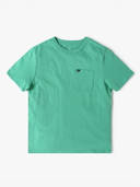 Green color option, Currently selected