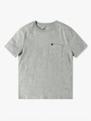 Grey color option, Currently selected