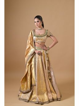 Label Nilansha Jain - Banarasi Hand Embroidered Gold Lehenga With Stitched Blouse And Dupatta