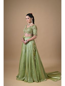 Label Nilansha Jain - Tissue Embroidered Green Lehenga With Stitched Blouse And Dupatta