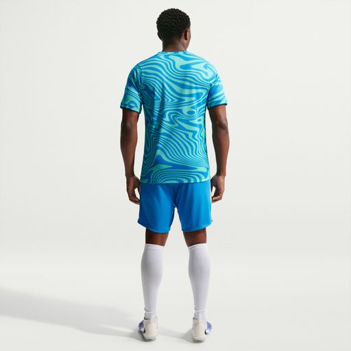 Brazil Academy Pro - Nike Brazil Academy Pro Men's Dri-FIT Football Pre-Match Short-Sleeve Top