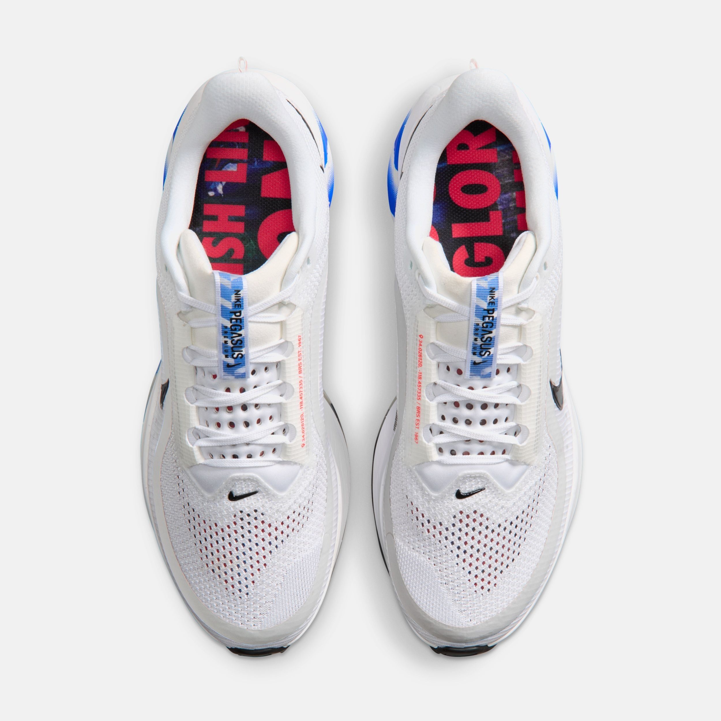 Buy Nike Pegasus Premium Men's Road Running Shoes Online | Nike India