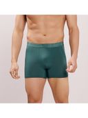 Green color option