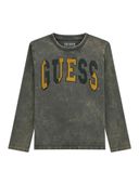 Grey color option, Currently selected