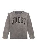 Grey color option, Currently selected