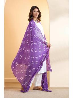 Biba - Women Purple Cotton Traditional Print Dupatta