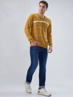 Raymond - Men Regular Fit Striped Medium Yellow Sweater