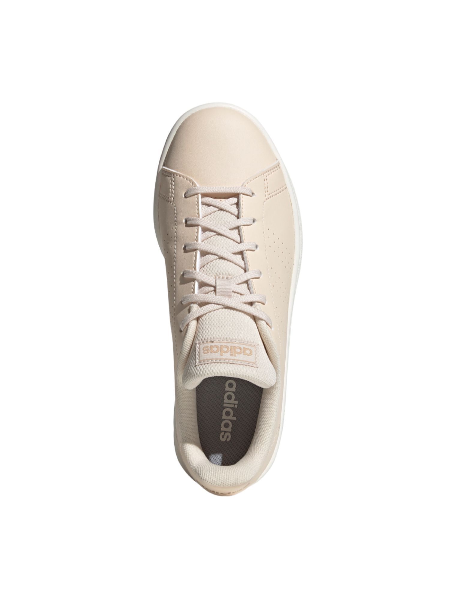 Buy adidas ADVANTAGE BASE Nude Tennis 