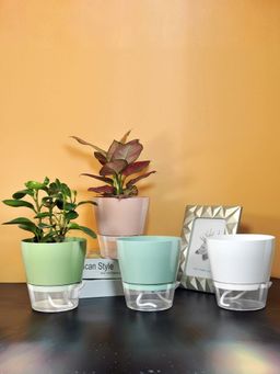 UMAI - Self Watering Planters and Pots (Pack of 4)