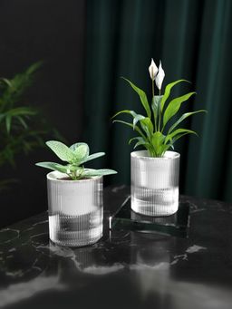 UMAI - Self Watering Planters and Pots (Pack of 2)