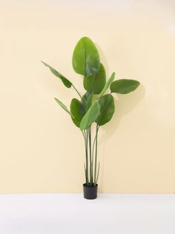 UMAI - Artificial Decorative Plants- Arrowroot