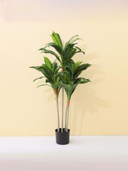 UMAI - Artificial Decorative Plants- Corn Plant
