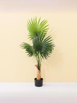 UMAI - Artificial Decorative Plants- Scallop Tree