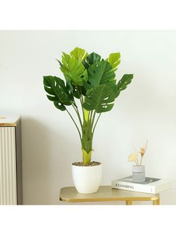 UMAI - Artificial Plant with Pot for Home Decor| Plastic Plants