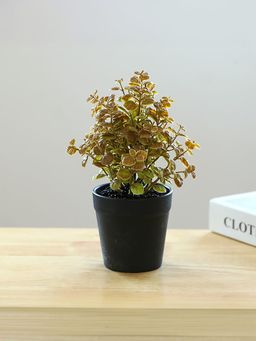 UMAI - Artificial Plant with Pot | Small Grass Balls