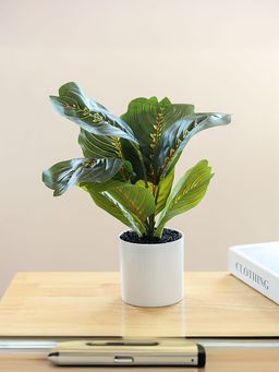 UMAI - Artificial Plant with Pot| Plastic Leaves