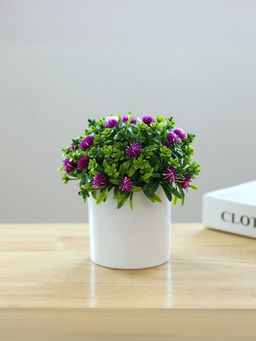UMAI - Artificial Plant with Pot| Natural Look Plastic Plant