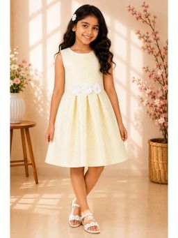 Miyo - Textured Fit & Flare Dress