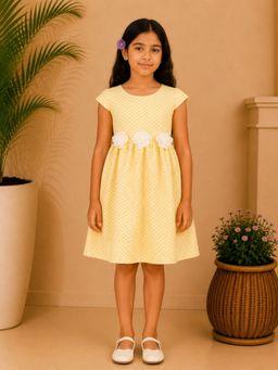 Miyo - Girls Yellow Textured Fit and Flare Floral Applique Dress
