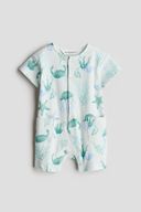 Turquoise color option, Currently selected