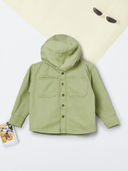 Green color option, Currently selected