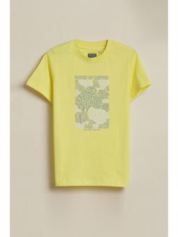 Allen Solly - Boys Yellow Graphic Print Crew Neck T-Shirt