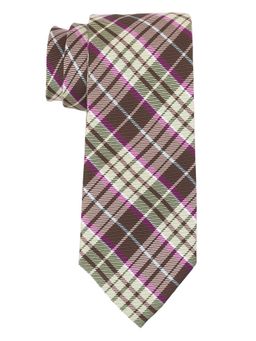 The Tie Hub - Green Checks With Brown Stripe Necktie