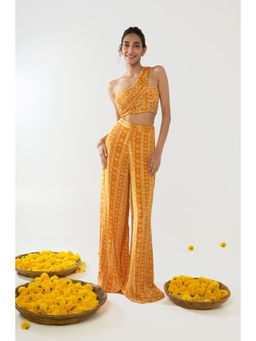 Essay by Sumedha Agrawal - Mustard & White Floral Stripes Co-Ord (Set of 2)