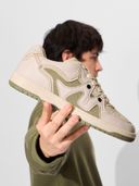 Olive 34