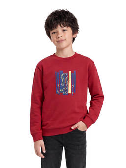 RARE ONES - Boys Red Printed Cotton Blend Sweatshirt