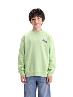 RARE ONES - Boys Green Solid/Plain Cotton Blend Sweatshirt