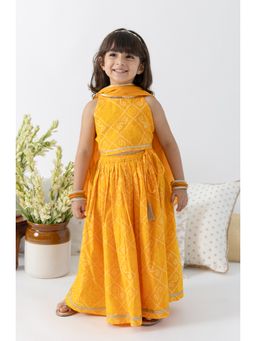 TIBER TABER - Girls Yellow Cotton Printed Blouse with Lehenga and Dupatta