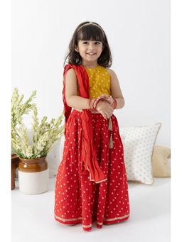 TIBER TABER - Girls Yellow Cotton Printed Blouse with Lehenga and Dupatta