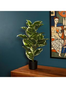 The Artment - Verdora Rubber Artificial Table Plant with Pot (H-78 Cm)