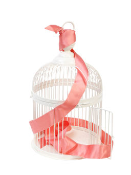 Living With Elan - Sage Cage for Home Decor, Light Hanging Holder (Off White)