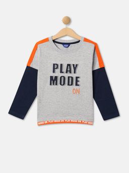 R&B - Boys Grey Applique Regular T-shirt