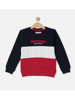 R&B - Boys Multi-Color Colorblock Regular Sweatshirts