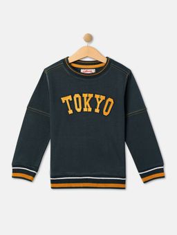 R&B - Boys Grey Applique Regular Sweatshirts