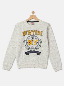 R&B - Boys Grey Printed Regular Sweatshirts