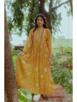 Paulmi & Harsh - Naksha Printed Gathered Maxi With Striped Yoke